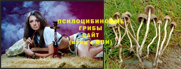 дмт Балабаново