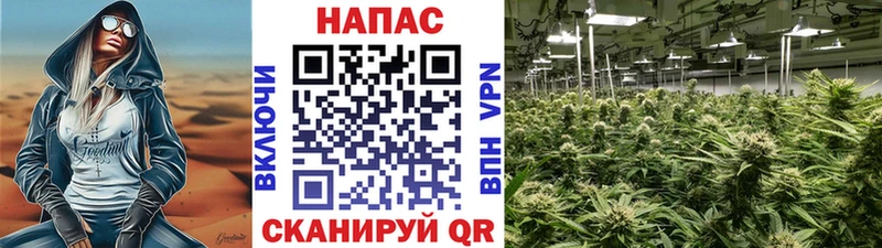 дарнет шоп  Давлеканово  Канабис планчик 